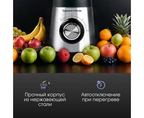  Блендер Zigmund & Shtain BS-448 D 